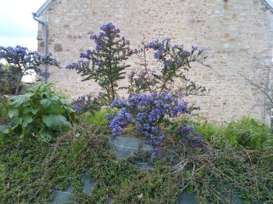 Holiday home Maison Bord De Individuel